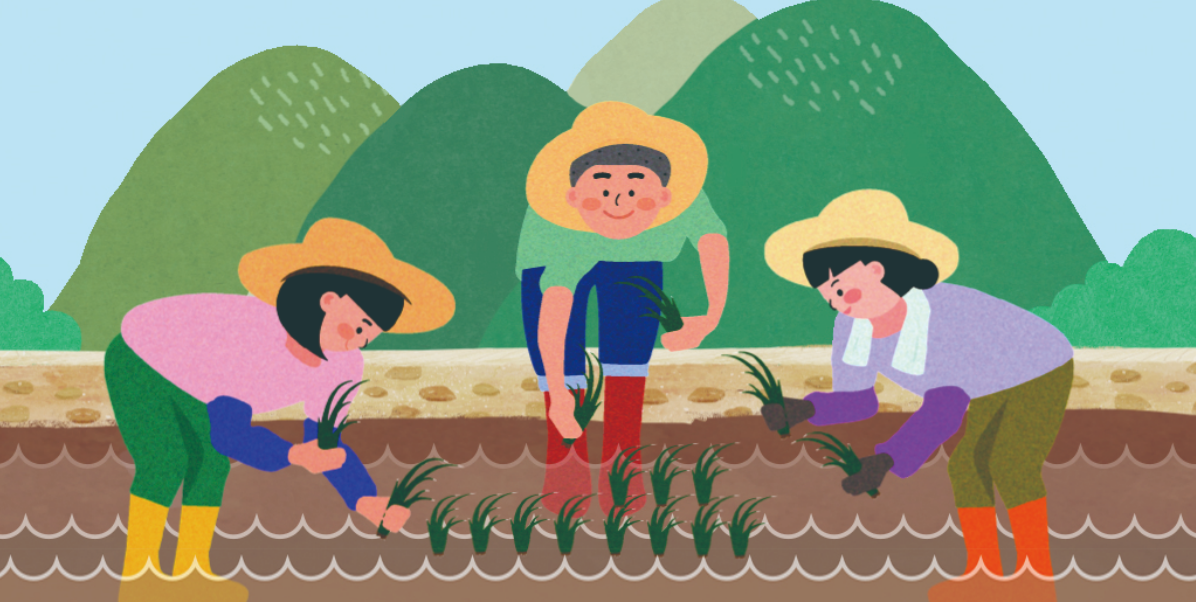 출처: 궁능유적본부 세종 농사직설 위토답 모내기 체험행사