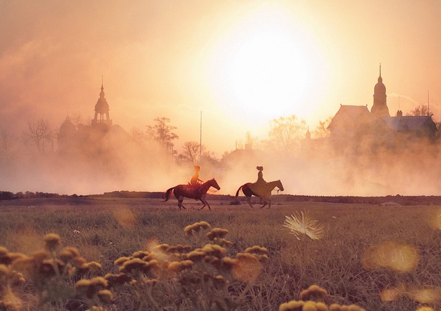 영화 《미스터 스마일》 자유와 돈, 노후의 의미를 묻다