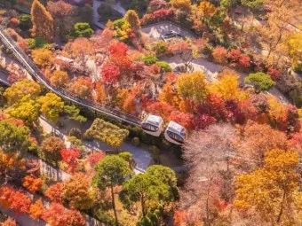 화담숲 단풍 절정시기 예약 방법까지 정리_35