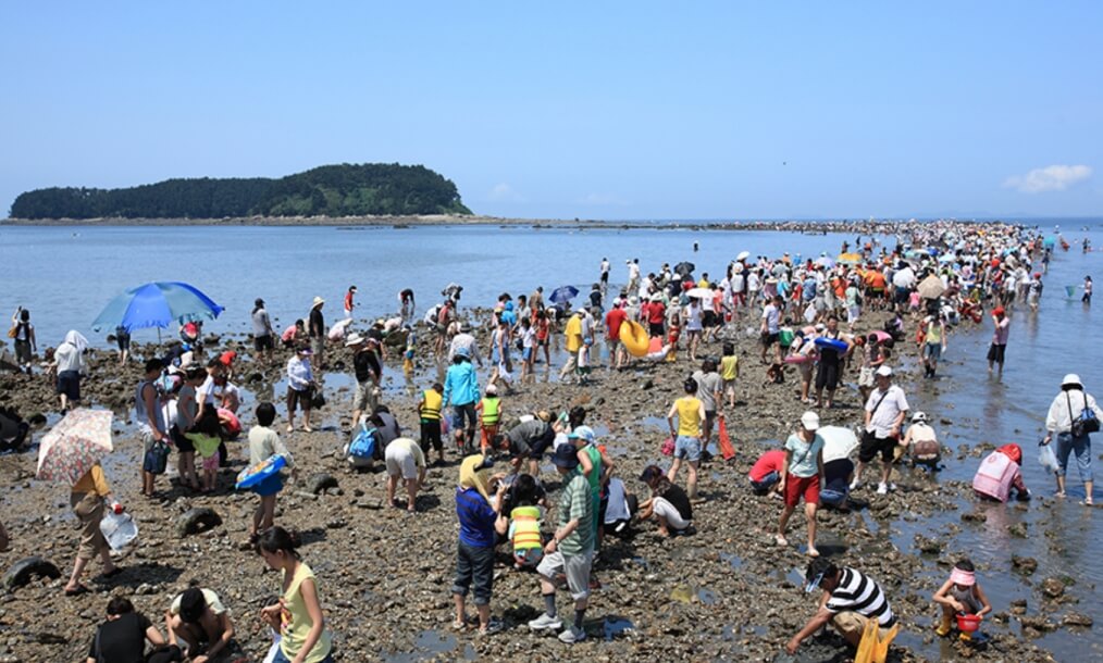 보령 해안 드라이브 코스