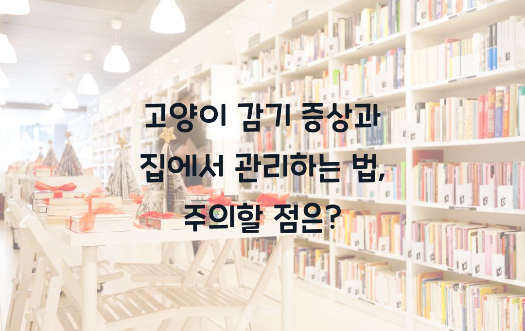 고양이 감기 증상과 집에서 관리하는 법