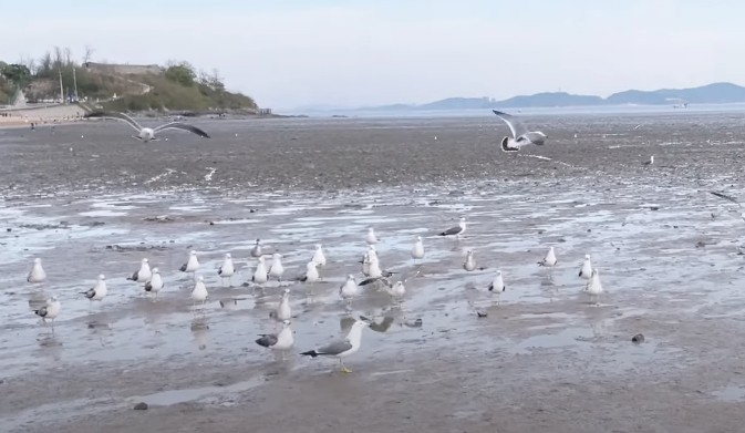 강화도 갈만한곳 강화도 여행