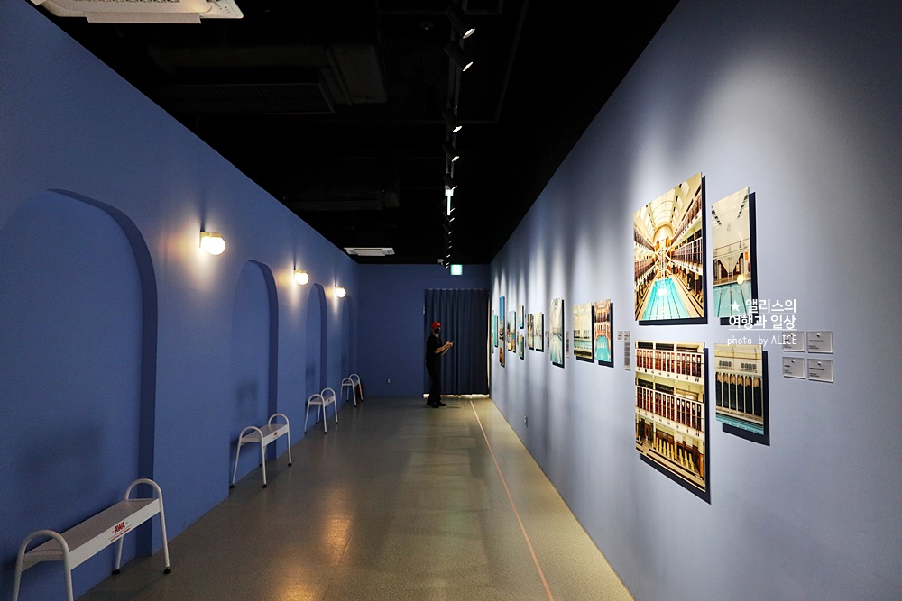 우연히 웨스 앤더슨 전시 추천, 그라운드 시소 성수