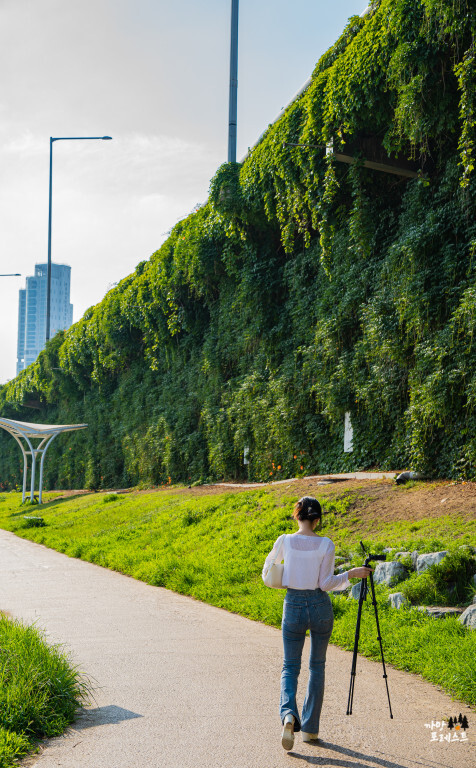 뚝섬 한강공원 스냅사진