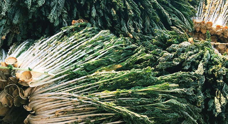 무의 효능 6가지