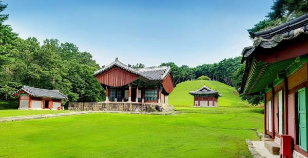 건원릉 특별 개방 예약 방법 총정리｜11월 3~8일 일정&middot;신청 시간&middot;입장료&middot;주차&middot;태조 이성계 억새 왕릉