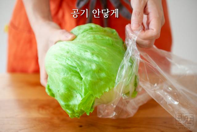 양상추 보관법,양상추 분홍색 변색,양상추보관기간