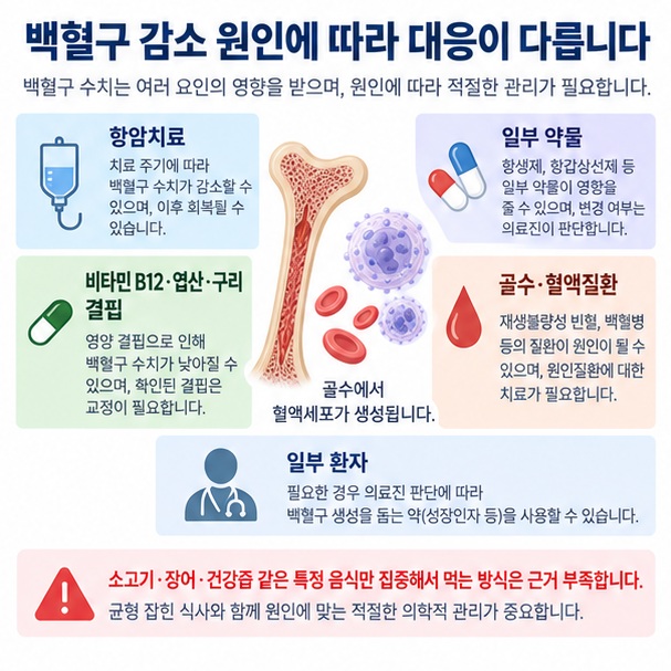 백혈구 감소가 항암치료 약물 영양결핍 골수질환 등 원인에 따라 치료가 달라짐을 보여주는 이미지