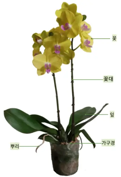 난의-구조를-설명한-사진