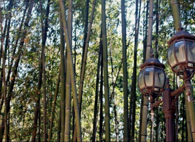 국내 여름 차박 여행지 유명한곳 BEST 6