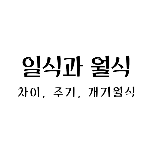 일식월식차이