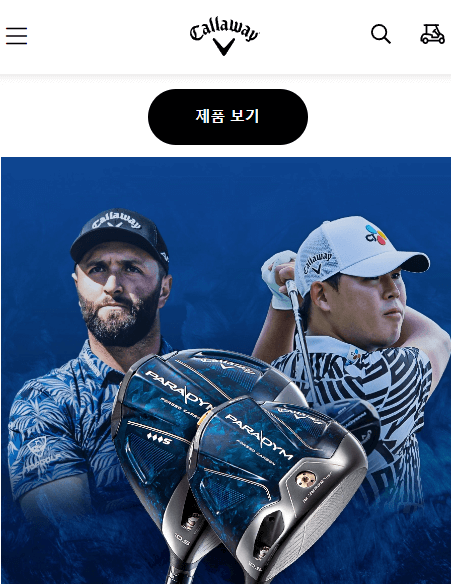 캘러웨이패러다임