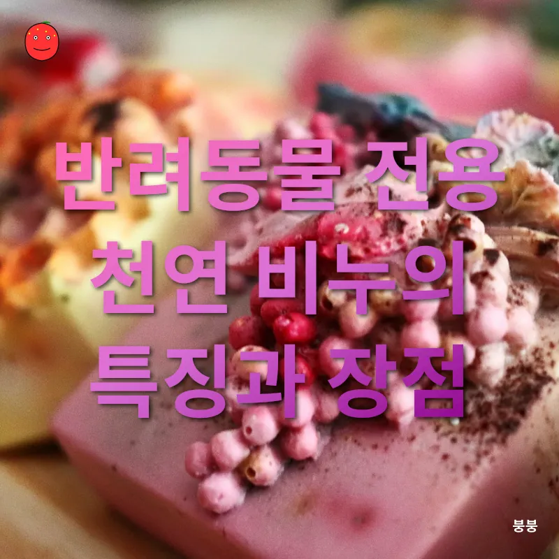 반려동물 천연비누 제작_1
