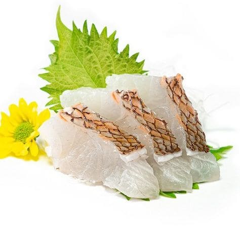 비브리오 패혈증