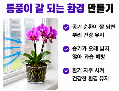 통풍이 잘되는 환경