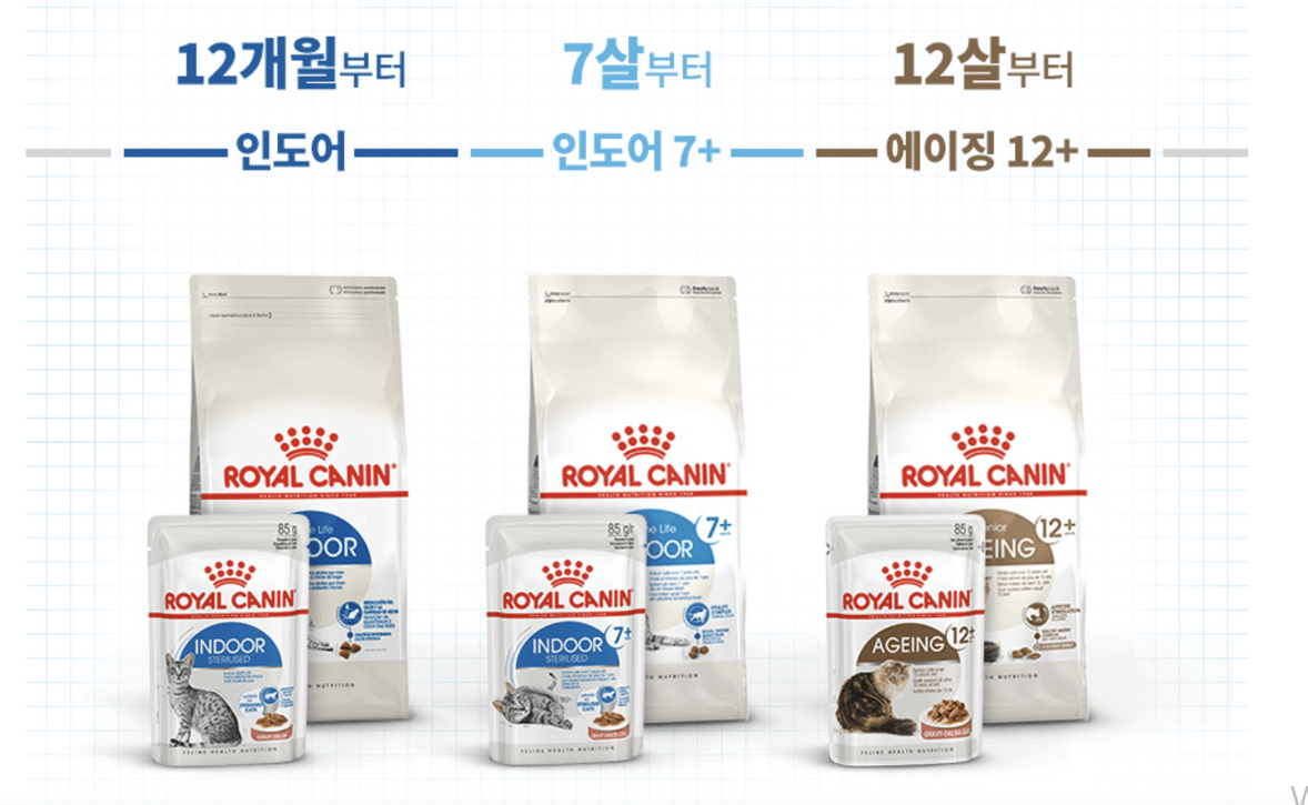 로얄캐닌 인도어 사진