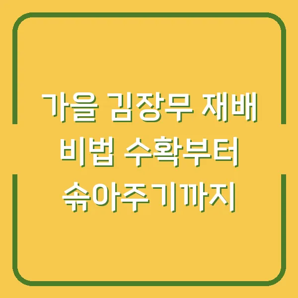 가을 김장무 재배 비법 수확부터 솎아주기까지