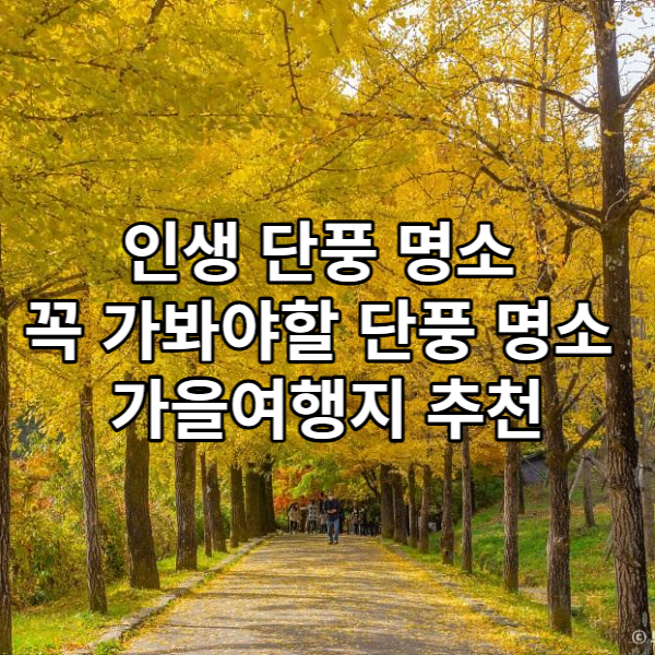 단풍 명소 추천 썸네일