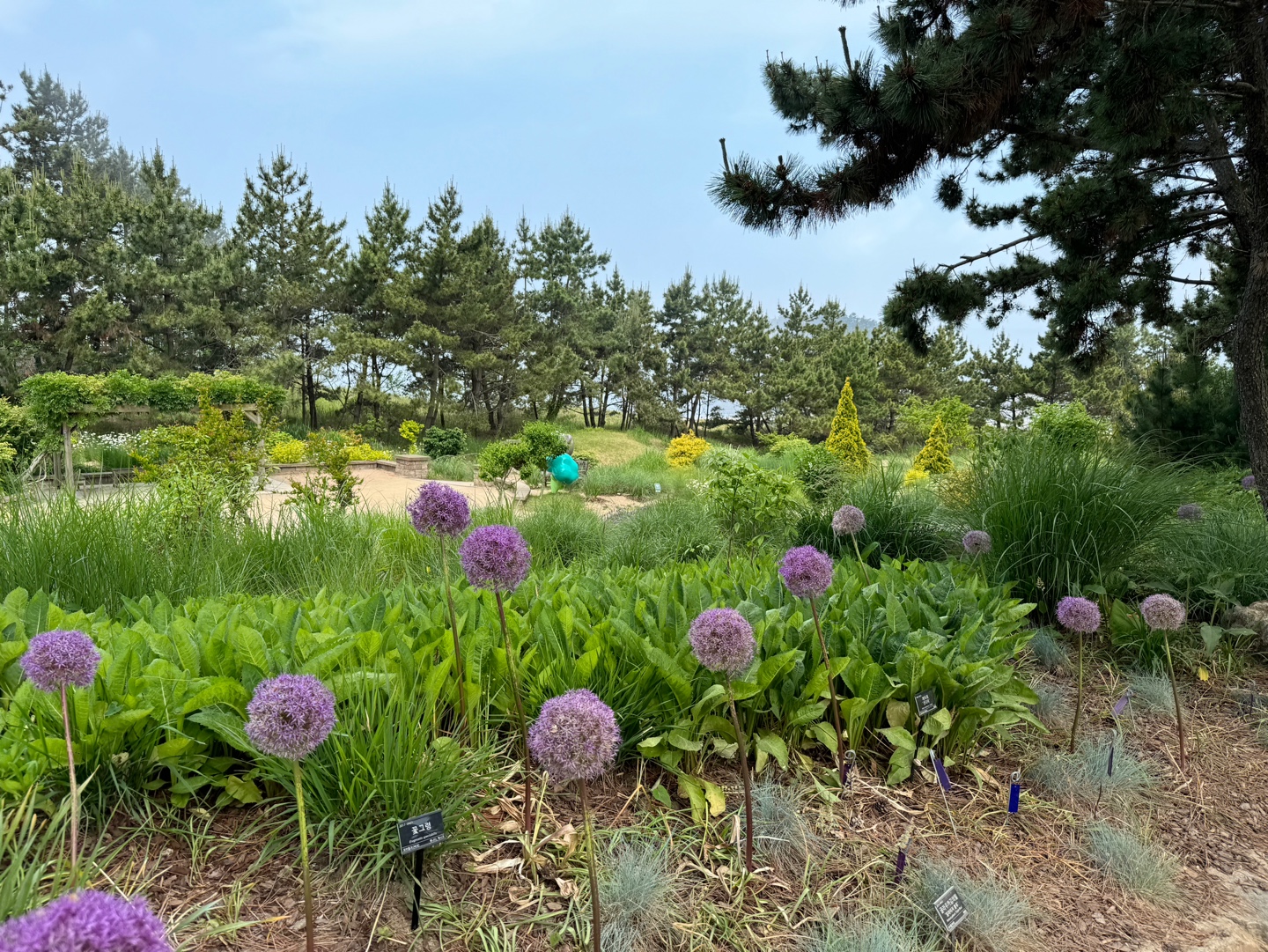천리포수목원