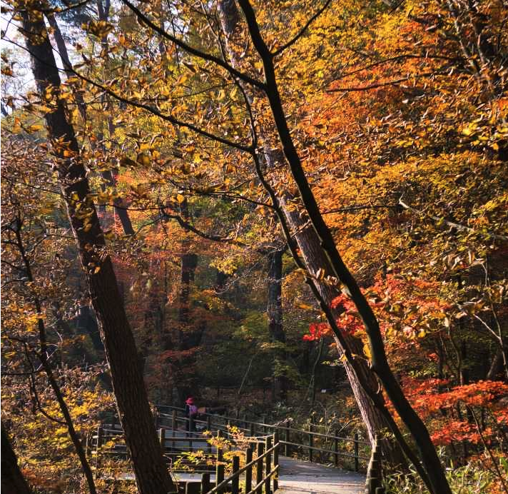 치악산 등산코스&amp;#44; 지도&amp;#44; 추천 등 3분 총정리