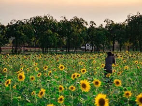 제주-가볼-만한-곳-4