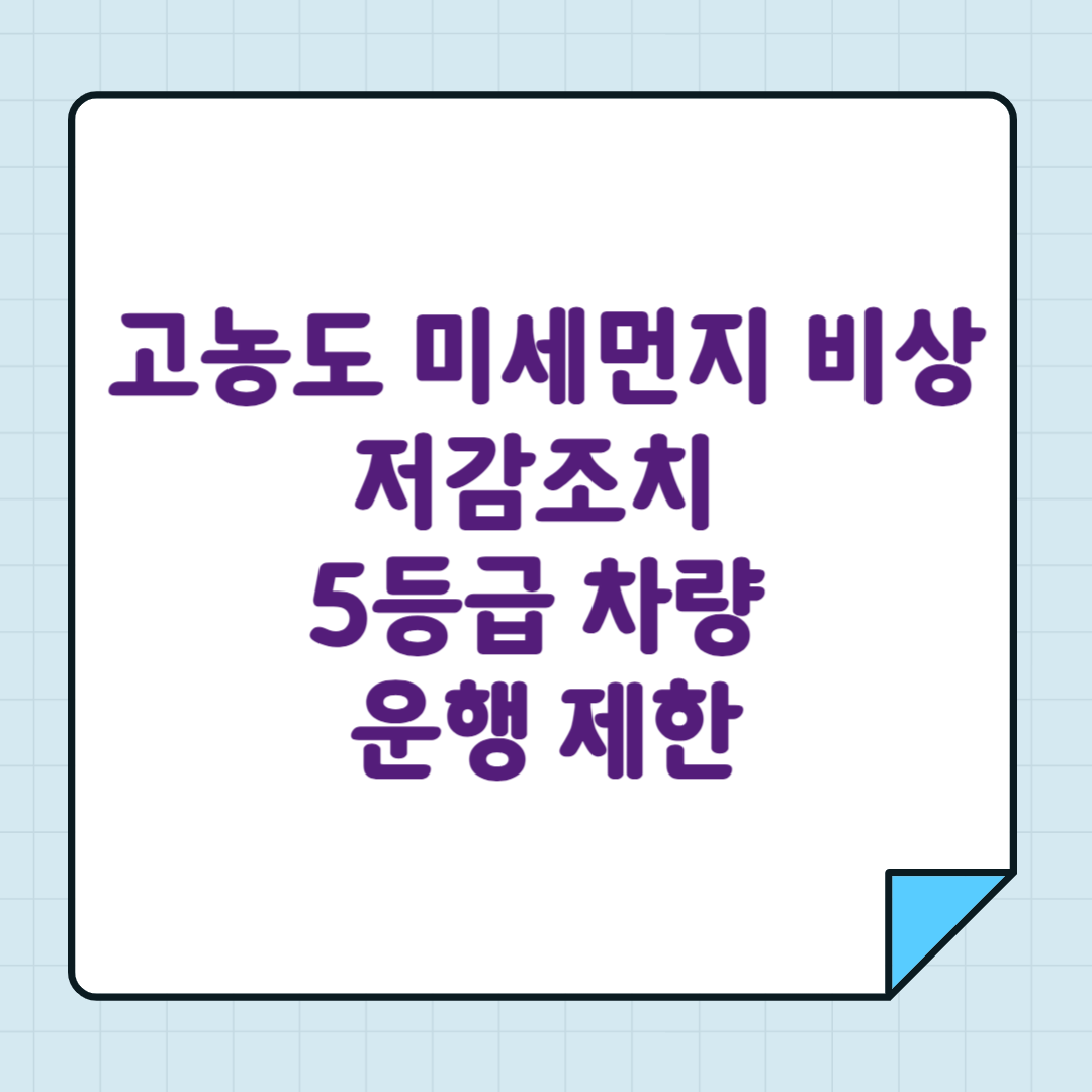 고농도 미세먼지 비상저감조치 5등급 차량 운행 제한