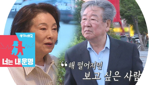김민자 고향