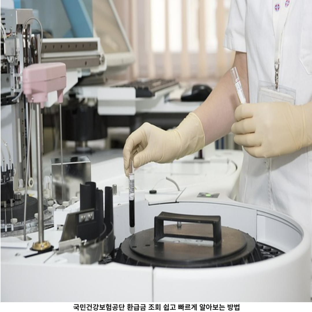 조회 결과 의미 해석