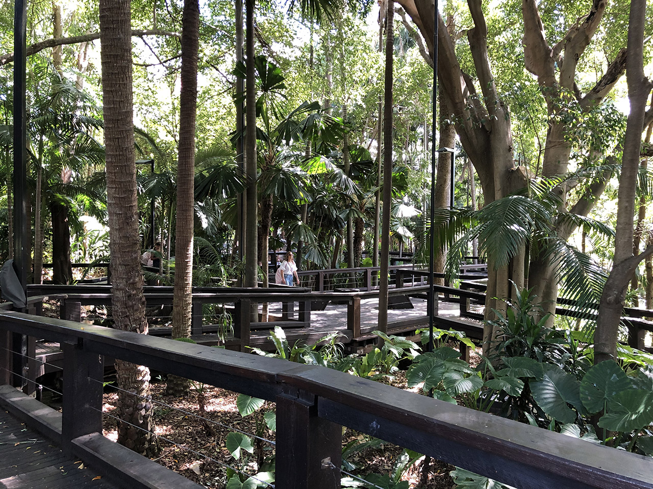 레인포레스트워크