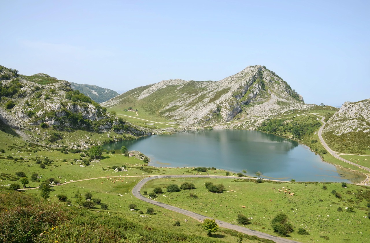 테슬라 사이버트럭