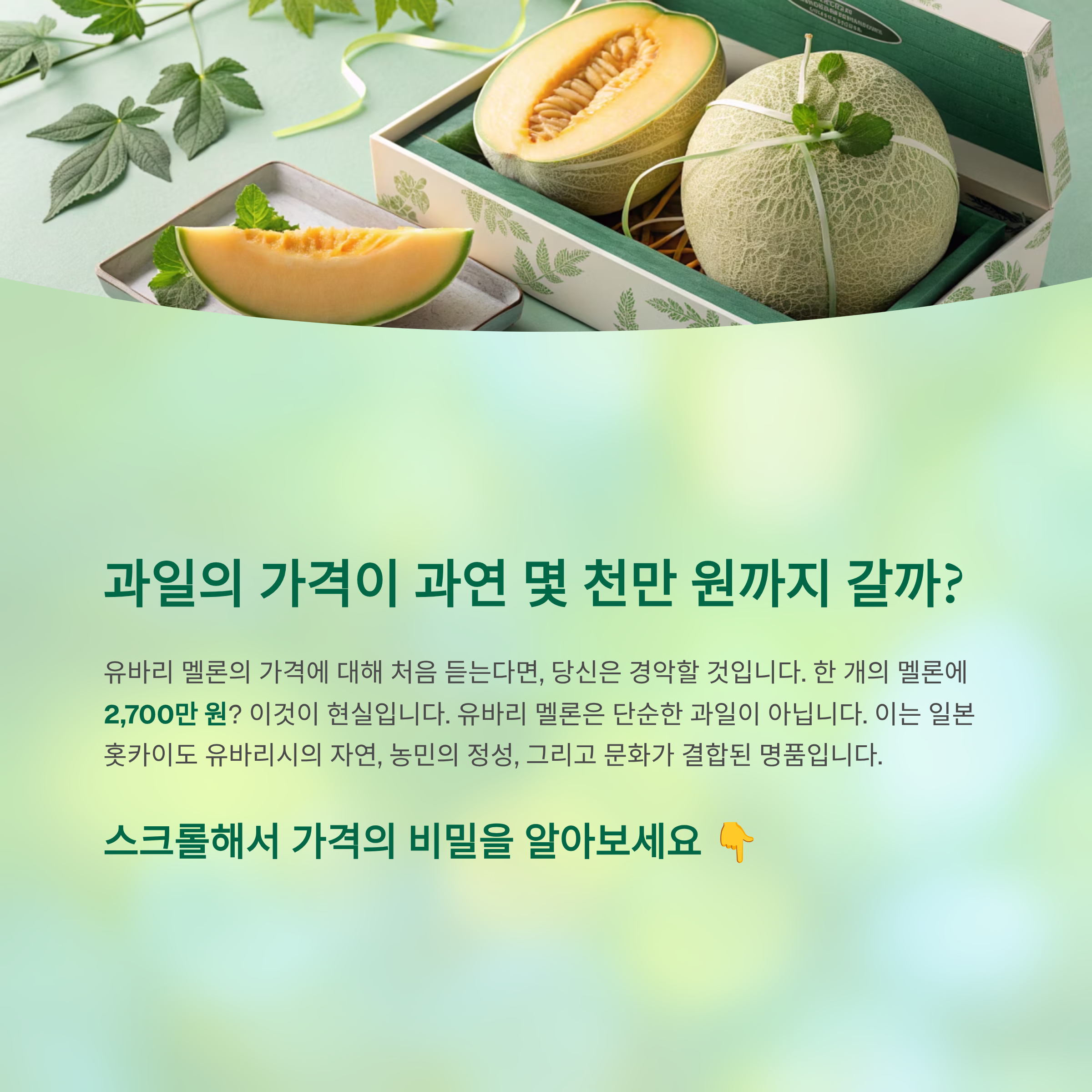 유바리 멜론 가격 알아보기