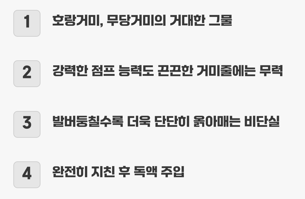 거미줄이라는 피할 수 없는 함정