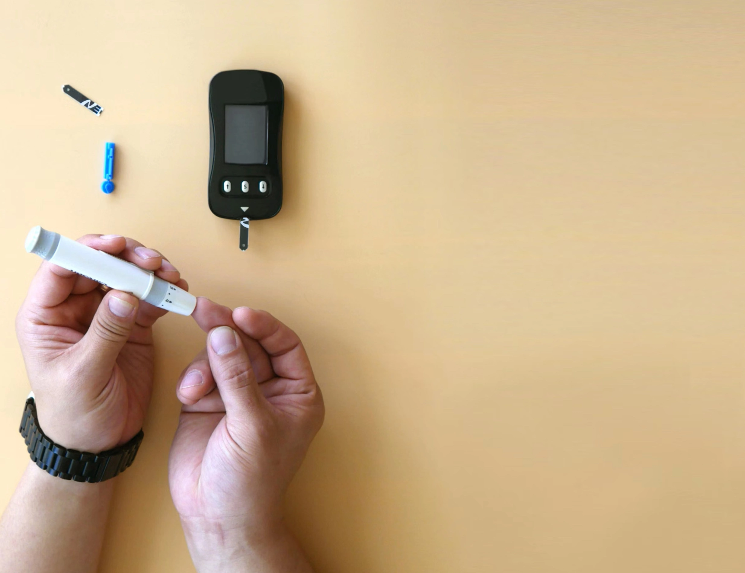 설탕 대신 스테비아