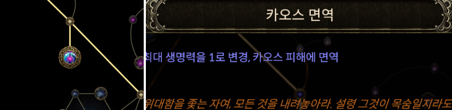 카오스 면역 노드