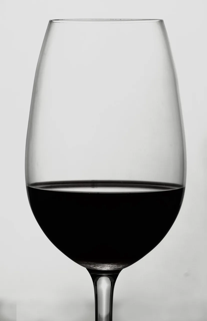 새도약기금 출범 핵심정리