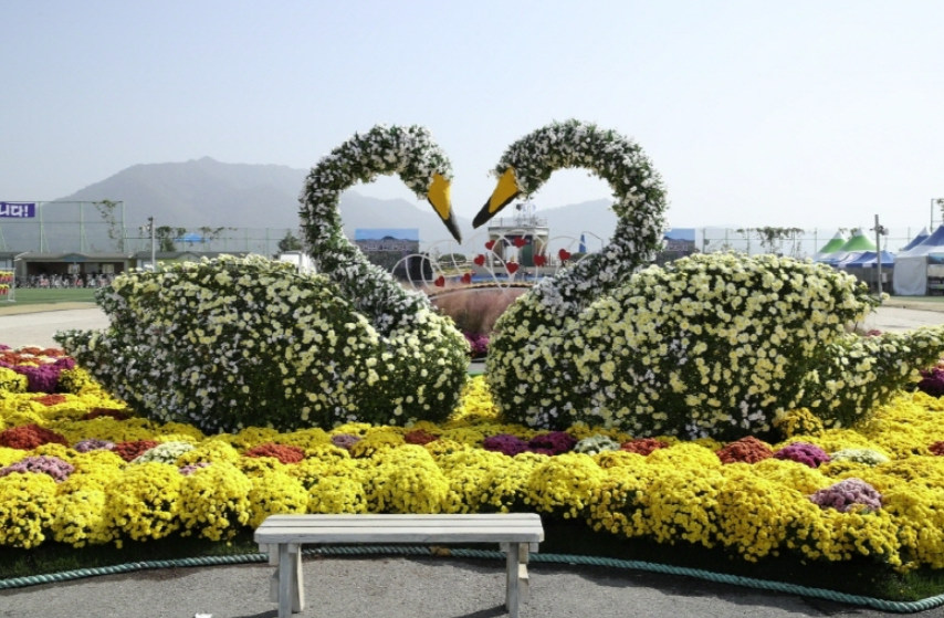 2024 강진만 춤추는 갈대축제 기본 정보