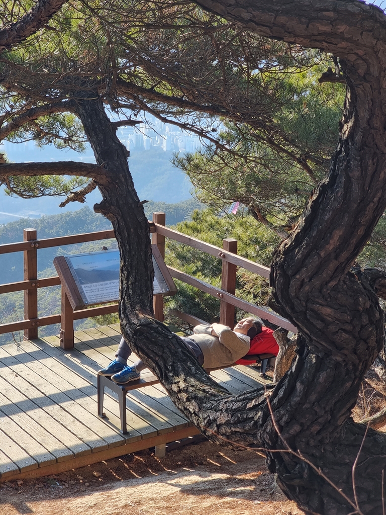 멋쟁이 낭만 아저씨