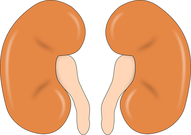 전신성 혈전성 미세혈관병증(TMA)의 일종인 희귀질환, 비정형 용혈성 요독 증후군 (aHUS)