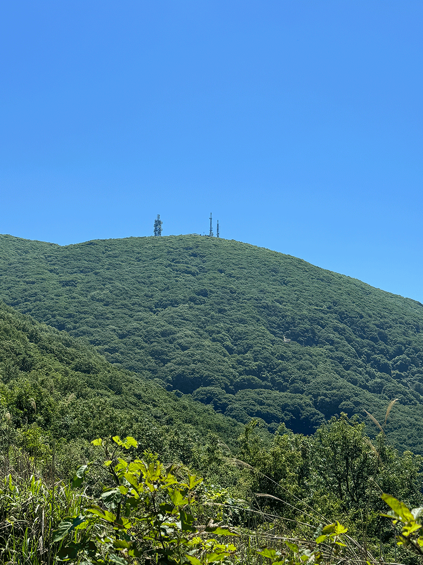 산림기능사 국비지원 교육 신청 방법