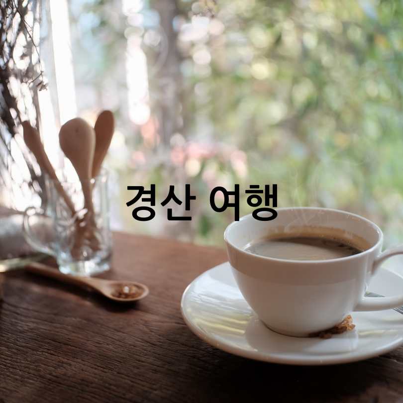 경산 신비복숭아 카페 축제 2025 일정 및 참여 카페