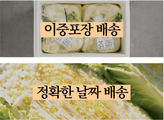 절임배추 20kg 파는 곳
