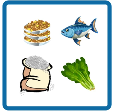 마그네슘이 들어있는 음식