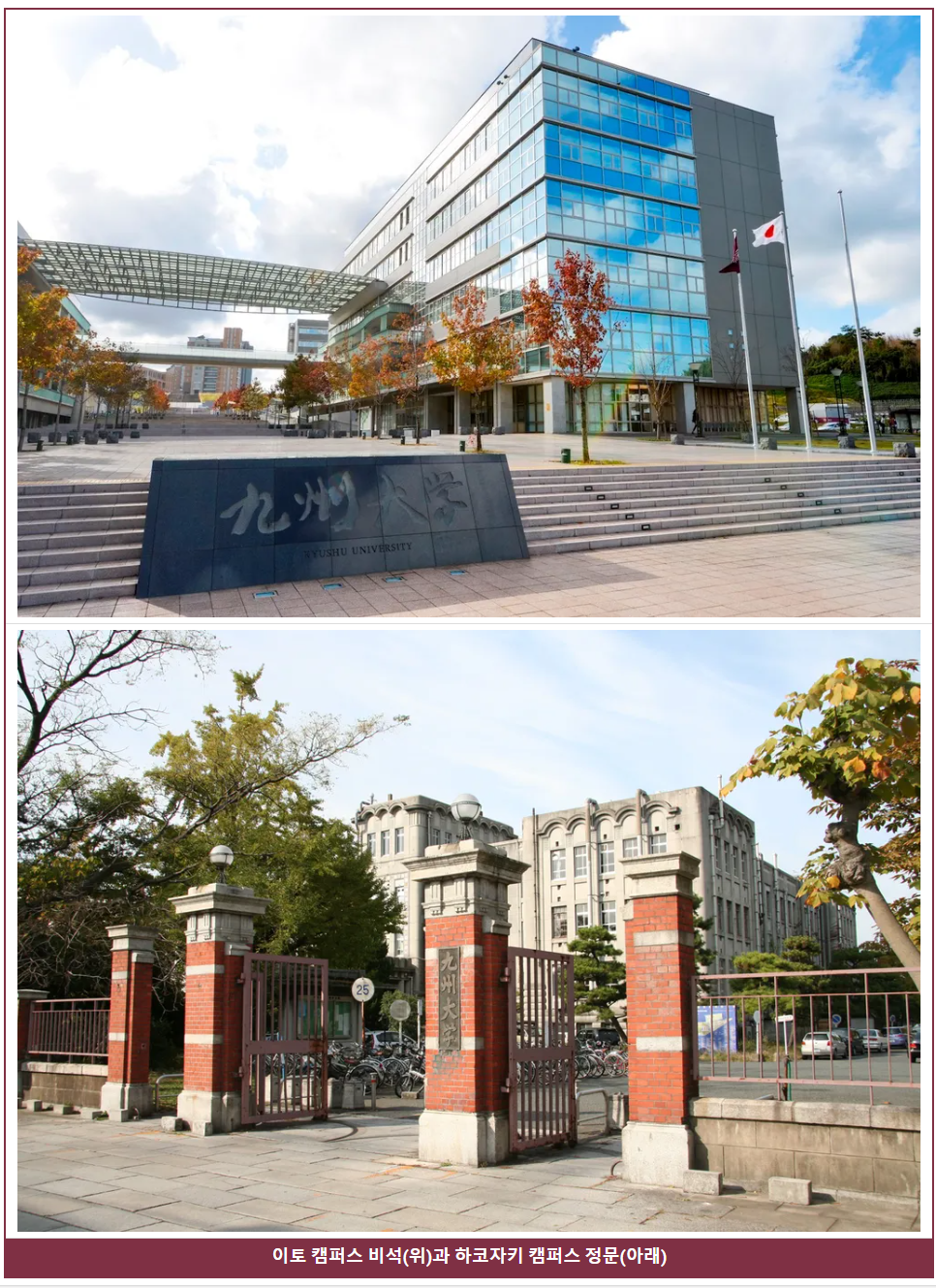 규슈대학교