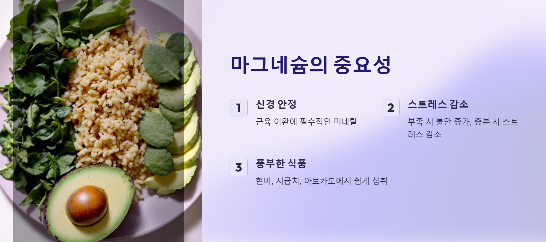 마그네슘의 중요성