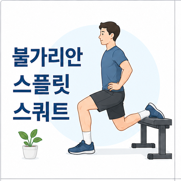 한쪽 발을 벤치에 올리고 불가리안 스플릿 스쿼트를 하는 모습을 표현한 운동 이미지