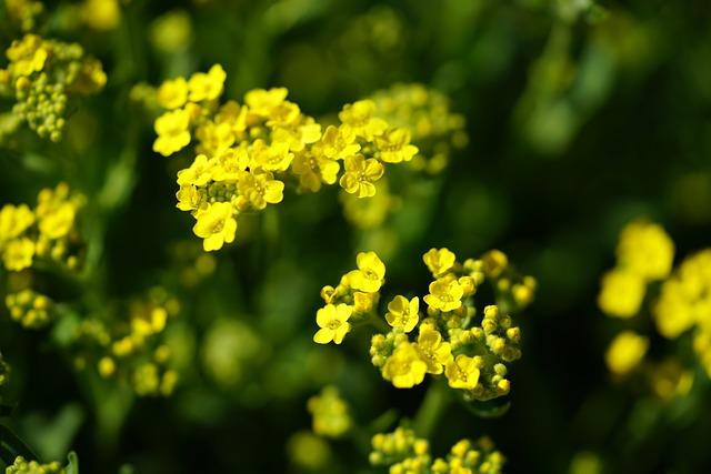 blog-image