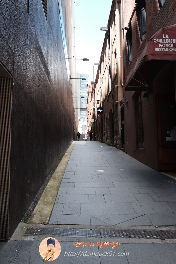 2024년 12월 19일 시드니