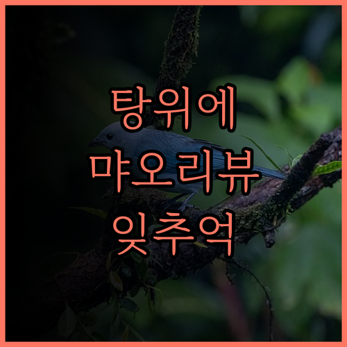 탕위에 리조트 후기 먀오리 뷰 맛집