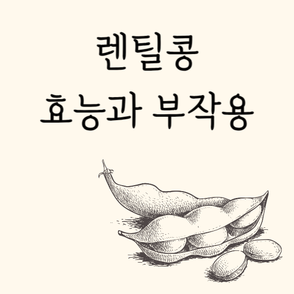 렌틸콩 효능 부작용