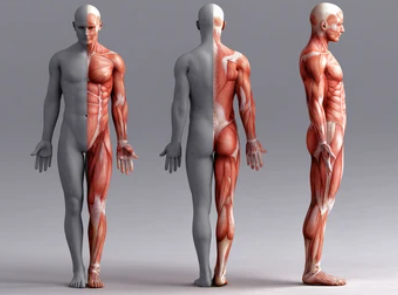 근육통 빨리 푸는법